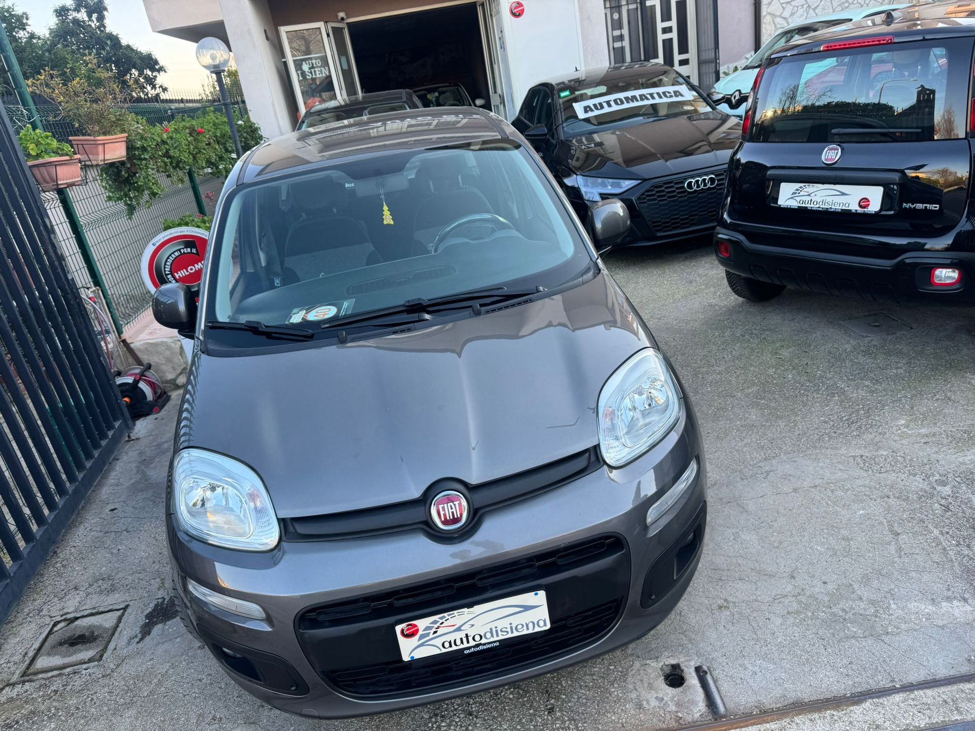 FIAT PANDA 1.2 LOUNGE
