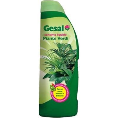 Concime liquido 'piante verdi' 750 ml